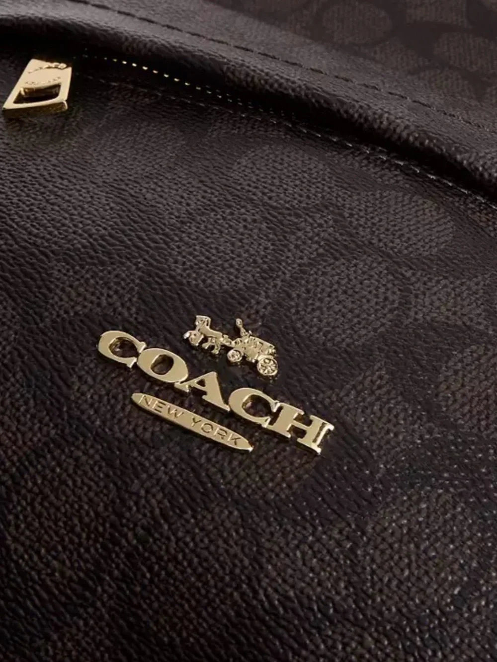 Coach Taylor Backpack In Signature Canvas